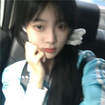 文明养狗人人有责